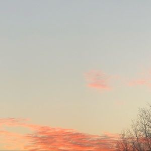 Meet your Posher, Mia